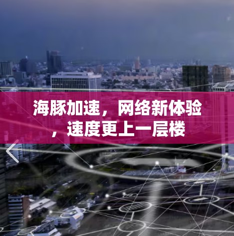 海豚加速，网络新体验，速度更上一层楼