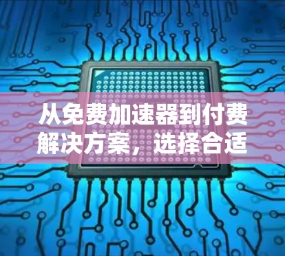 从免费加速器到付费解决方案，选择合适的加速器