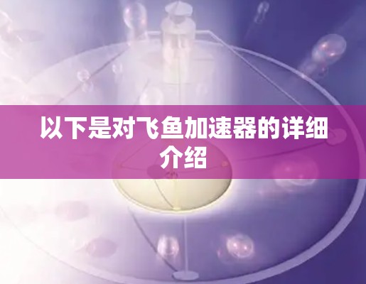 以下是对飞鱼加速器的详细介绍 以下是对飞鱼加速器的详细介绍