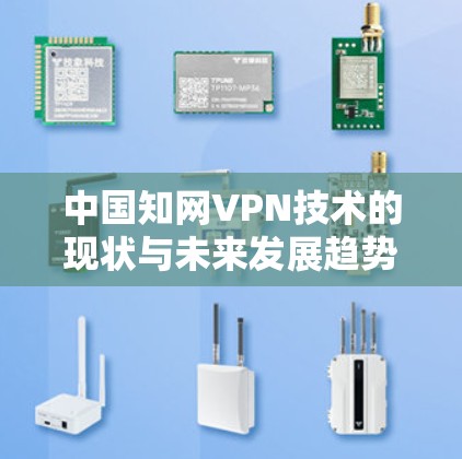 中国知网VPN技术的现状与未来发展趋势