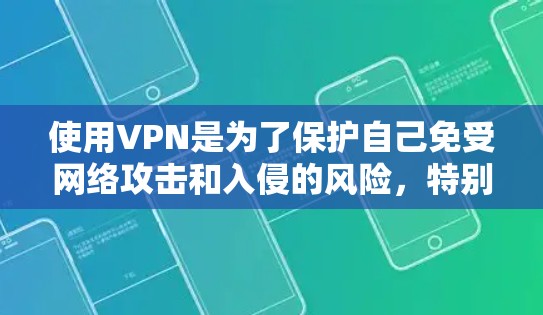 使用VPN是为了保护自己免受网络攻击和入侵的风险，特别是在访问外国网站时。以下是使用VPN的详细步骤和建议