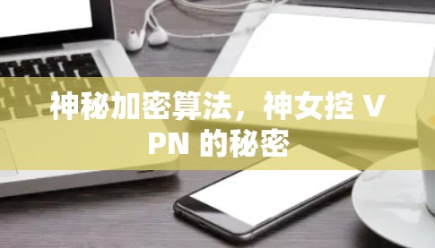 神秘加密算法，神女控 VPN 的秘密