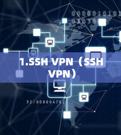 1.SSH VPN（SSH VPN）