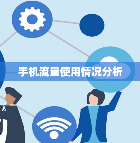 手机流量使用情况分析