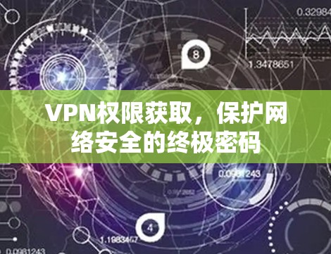 VPN权限获取,保护网络安全的终极密码 VPN权限获取,保护网络安全的终极密码