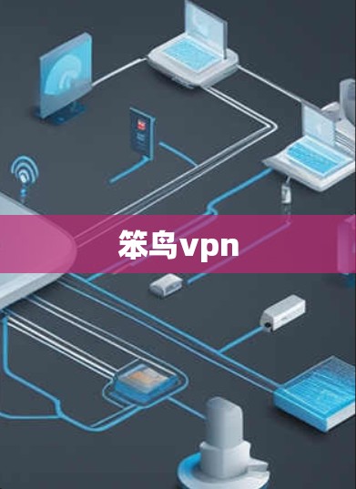 笨鸟vpn