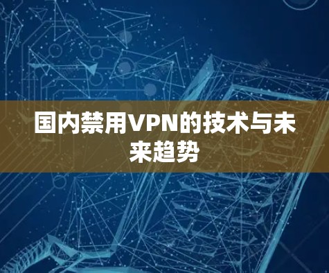 国内禁用VPN的技术与未来趋势