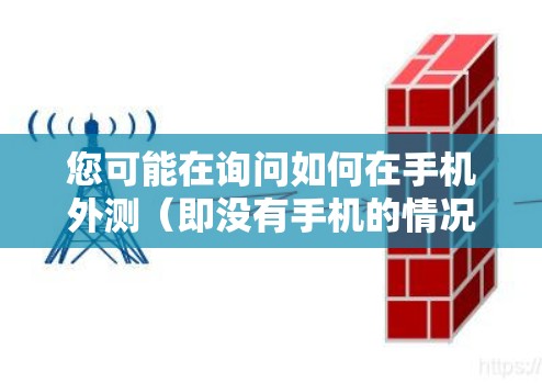 您可能在询问如何在手机外测（即没有手机的情况下）访问或使用VPN服务。以下是一些步骤和注意事项